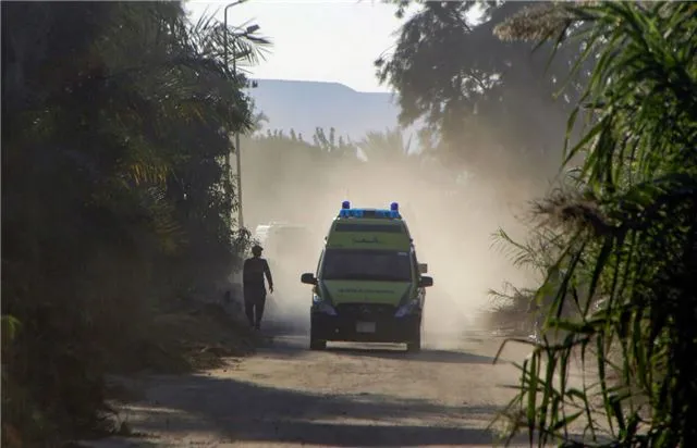 Akhbar El-Yom - Египтянка одновременно ждёт появления на свет девяти малышей