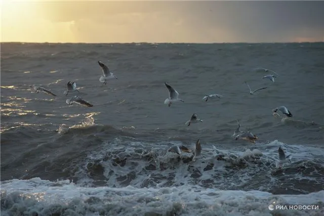 Штормовое предупреждение в Сочи и Сириусе сохраняется на весь уикенд – будьте осторожны!