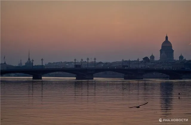 В Санкт-Петербурге водитель, лишённый прав, бросился в Неву, спасаясь от преследования полиции