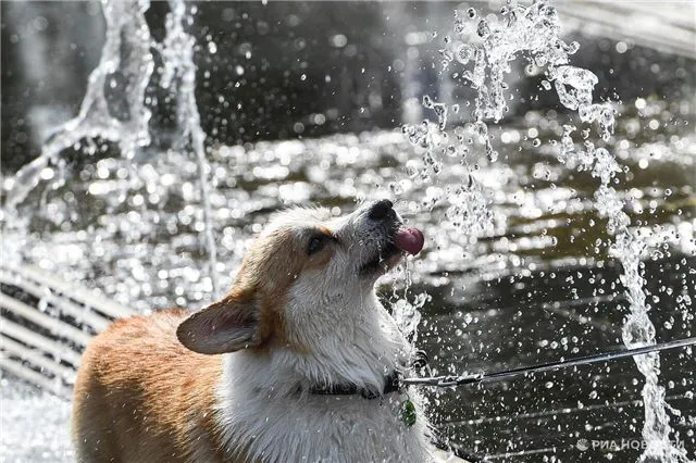 В четверг столбики термометров в Москве взметнулись до +29,3°C!