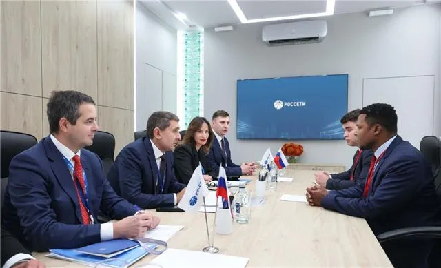 Андрей Рюмин провел переговоры с лидером Африканской энергетической палаты о перспективах партнерства