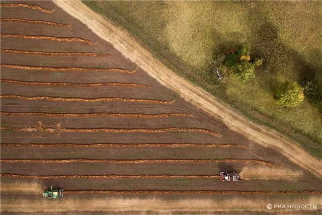 В Подмосковье определены призёры регионального отбора на грант «Агростартап»