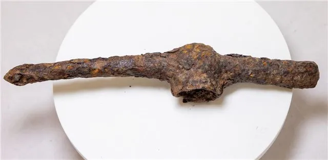 В Сибири обнаружена редчайшая захоронение воина скифской эпохи