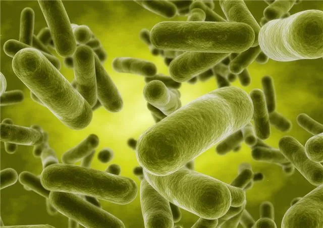 Исследователи научили бактерии создавать лекарства нового поколения